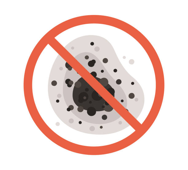 Best Residential Mold Inspection & Testing  in Daleville, IN