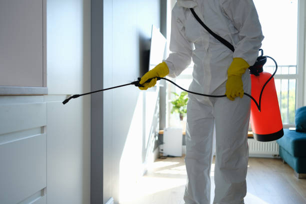 Best Commercial Mold Inspection  in Daleville, IN
