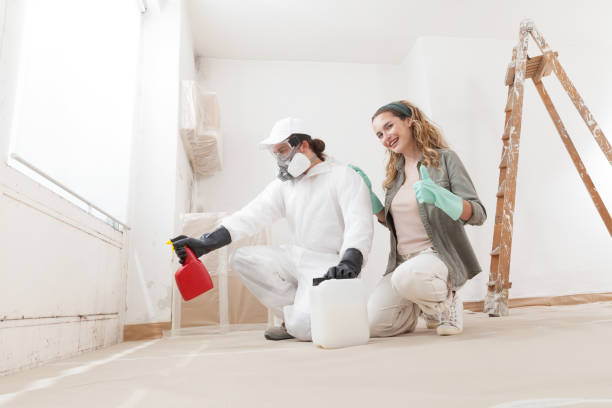 Best Air Quality Testing for Mold Spores  in Daleville, IN